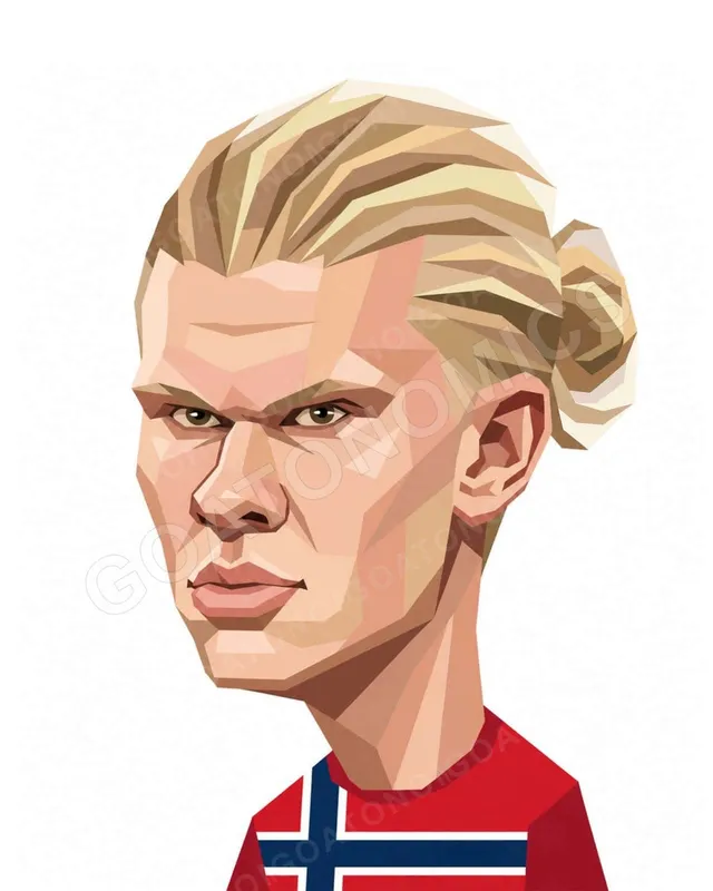 Erling Haaland as a geometric flat-vector portrait